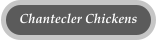 Chantecler Chickens