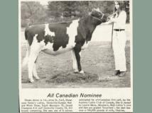 Showcase Greta's Lottie Ayrshire All- Canadian nominee